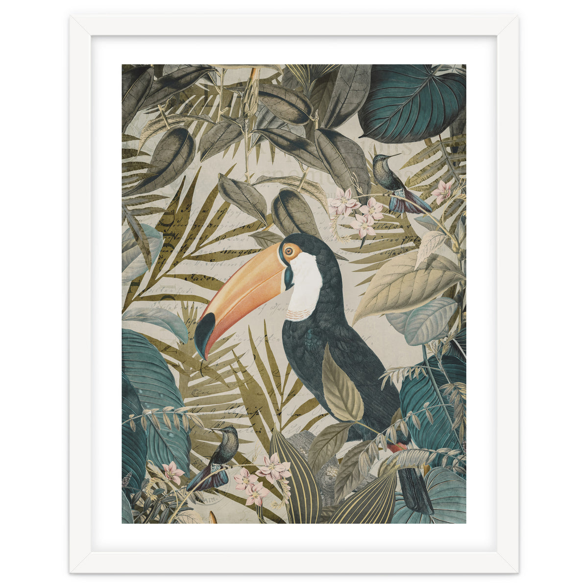 Jungle Toucan