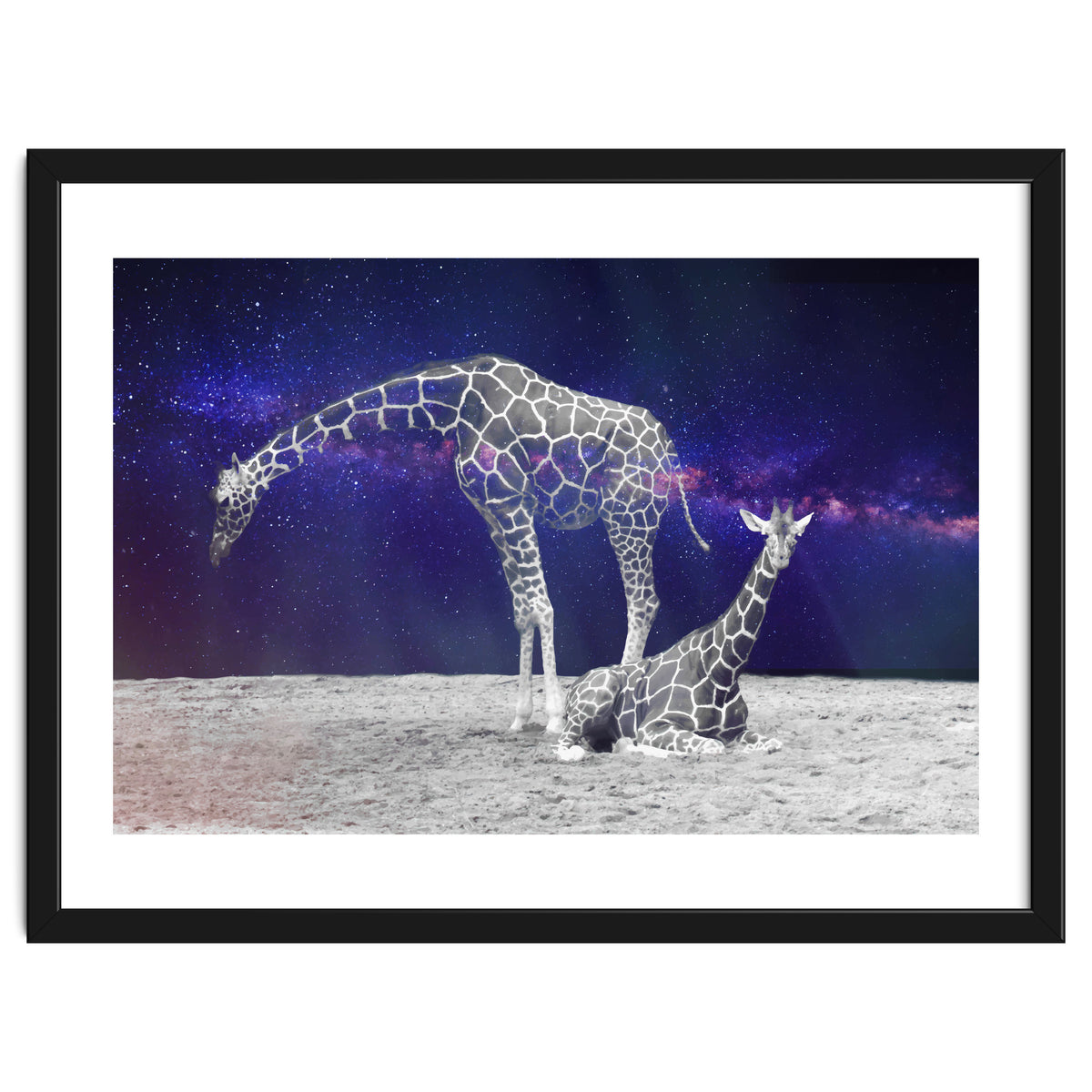 Giraffes on The Moon