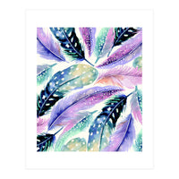 Wild Feathers (Print Only)