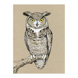 Great horned owl (Print Only) thumbnail