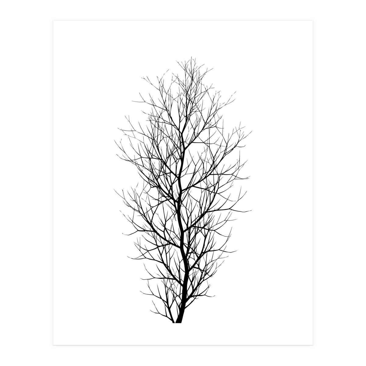 The Tree Black (Print Only)