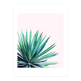Agave Love (Print Only) thumbnail