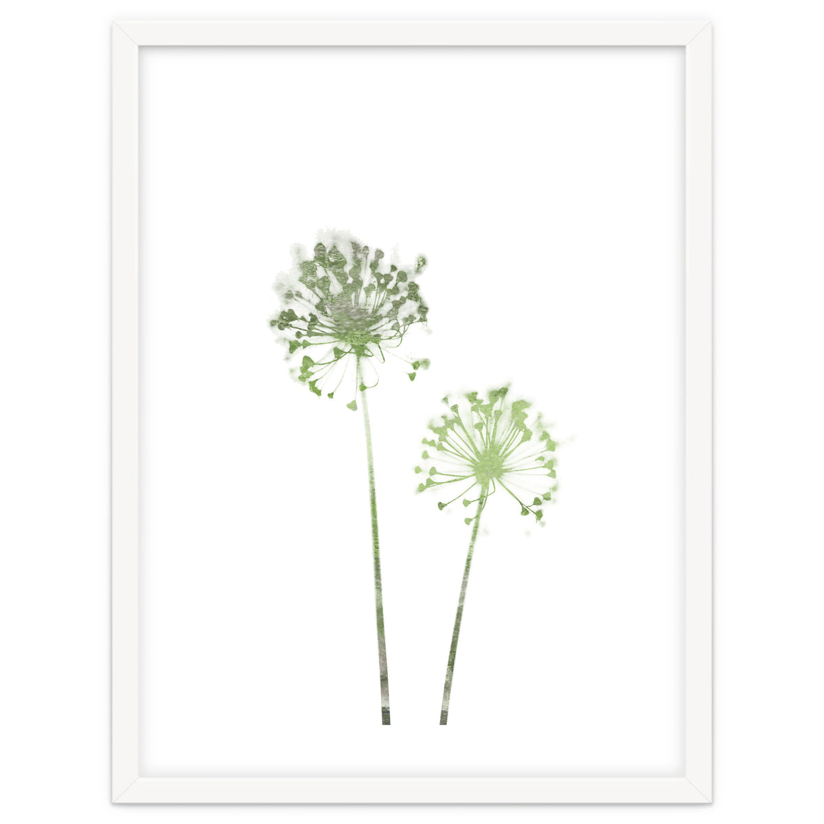 Olive Green Dandelion