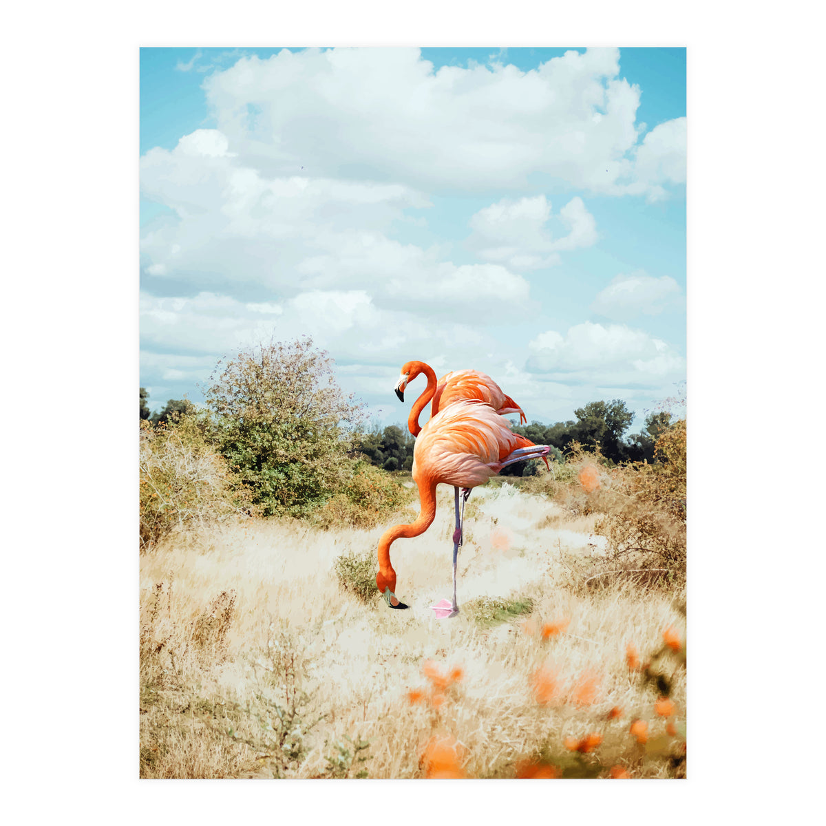 Flamingo Couple (Print Only)
