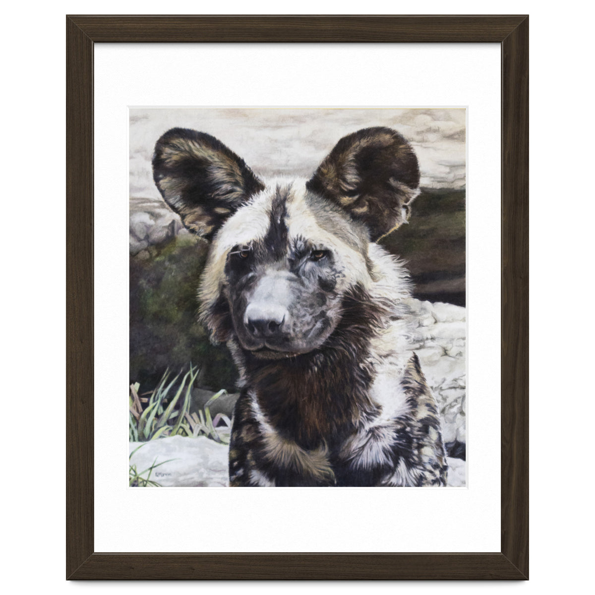 African Painted Dog II