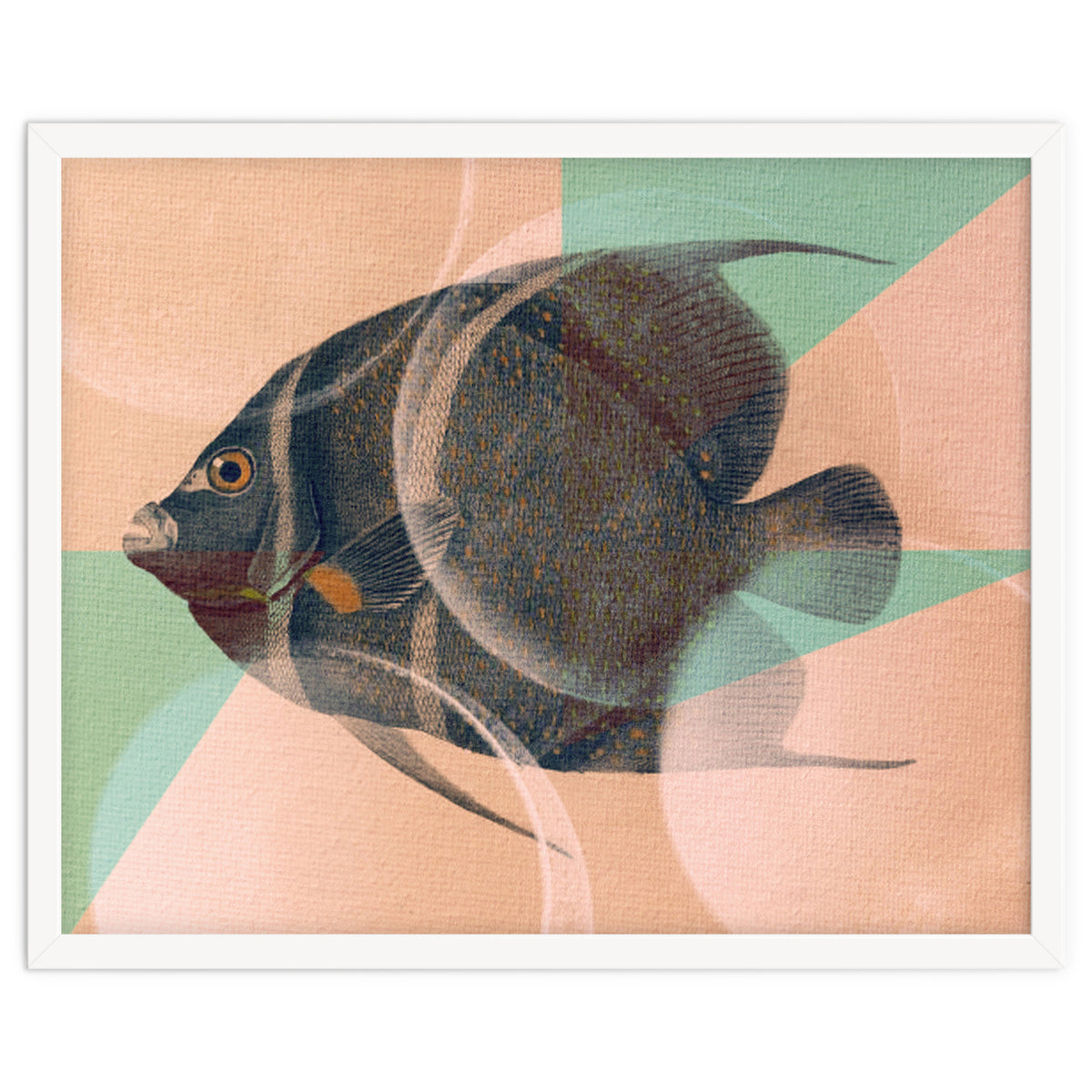 Fish Between Circles 2