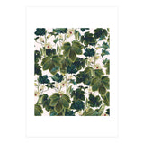 Wild Forest (Print Only) thumbnail