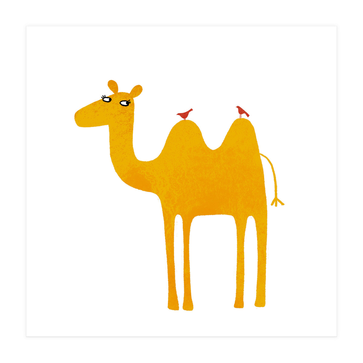 Camel (Print Only)