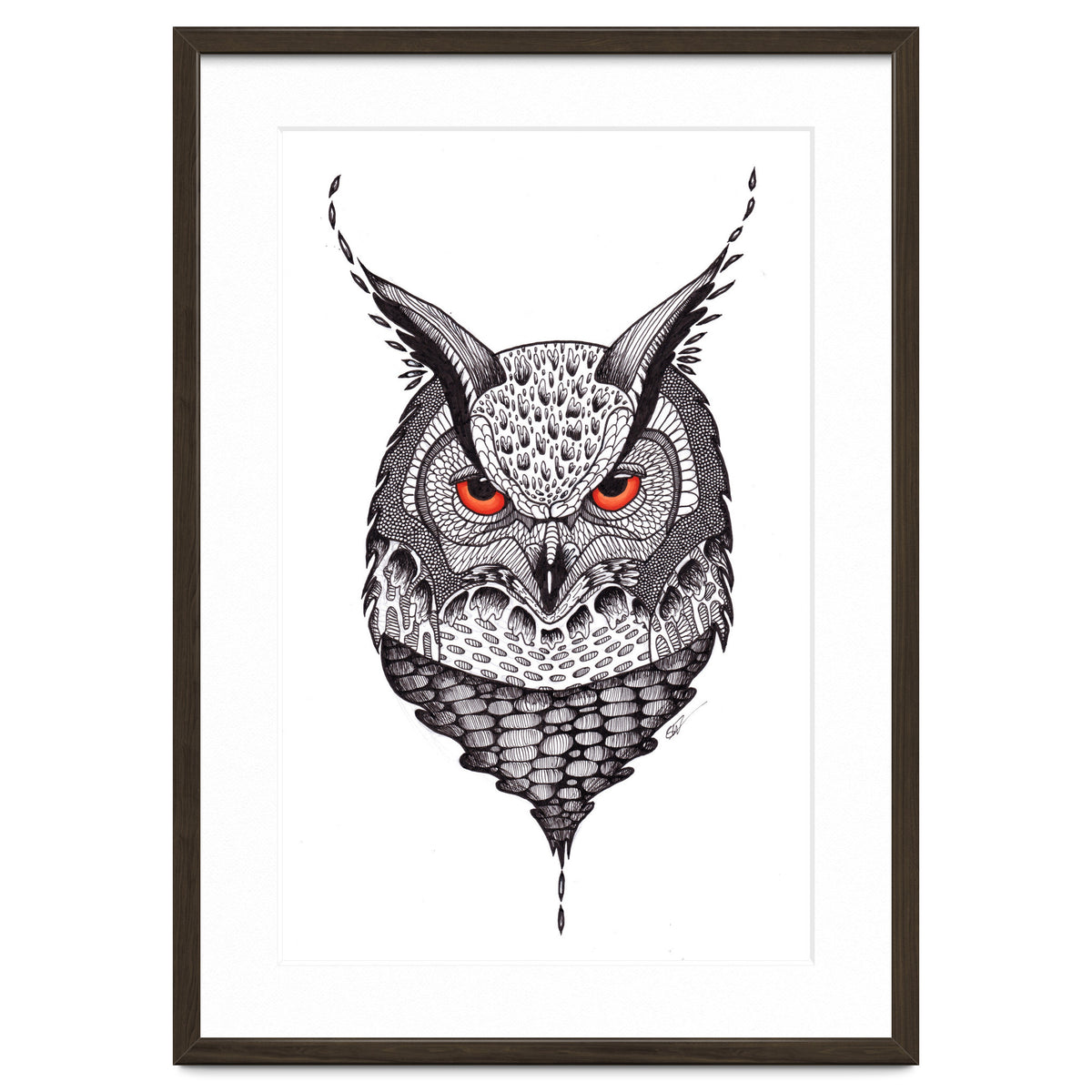 Owl