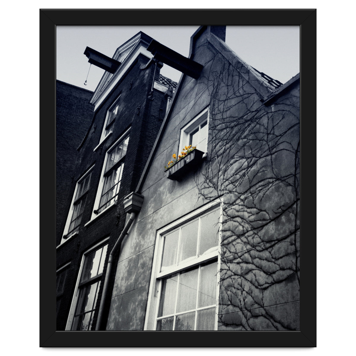 Amsterdam. House With Yellow Flowers.