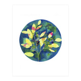 Winter Eucalyptus  (Print Only) thumbnail