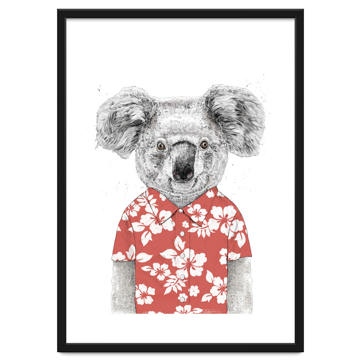 Summer Koala
