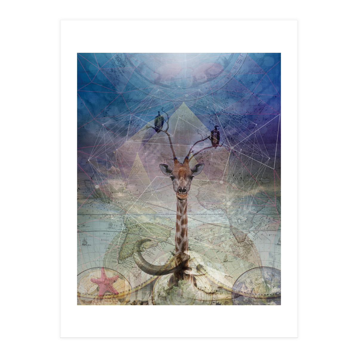 Warning (Print Only)