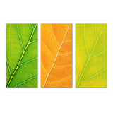 Autumn Leaves (Print Only) thumbnail