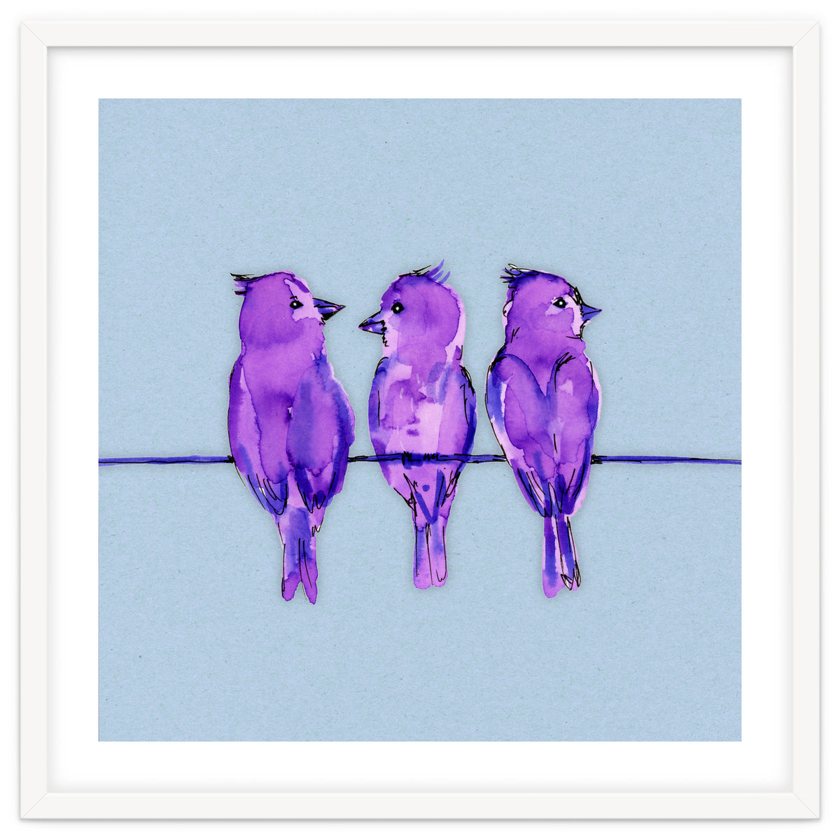 Three purple birds