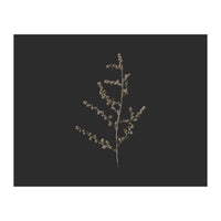 Dainty Botanicals in Gold and Black - Square (Print Only)