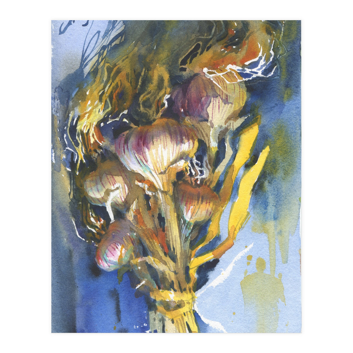 Sunny still life Garlic (Print Only)