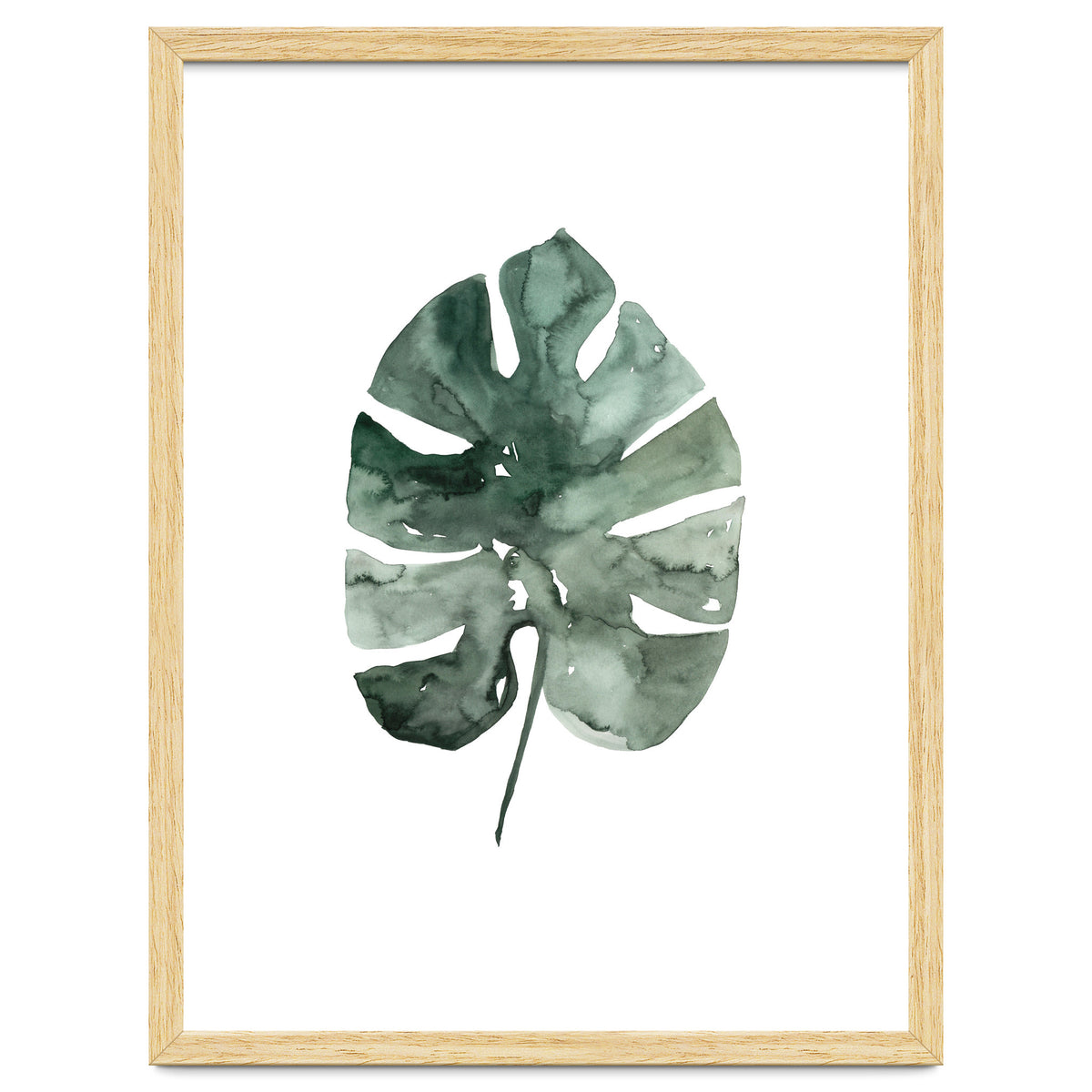 Botanical Illustration Monstera Leaf