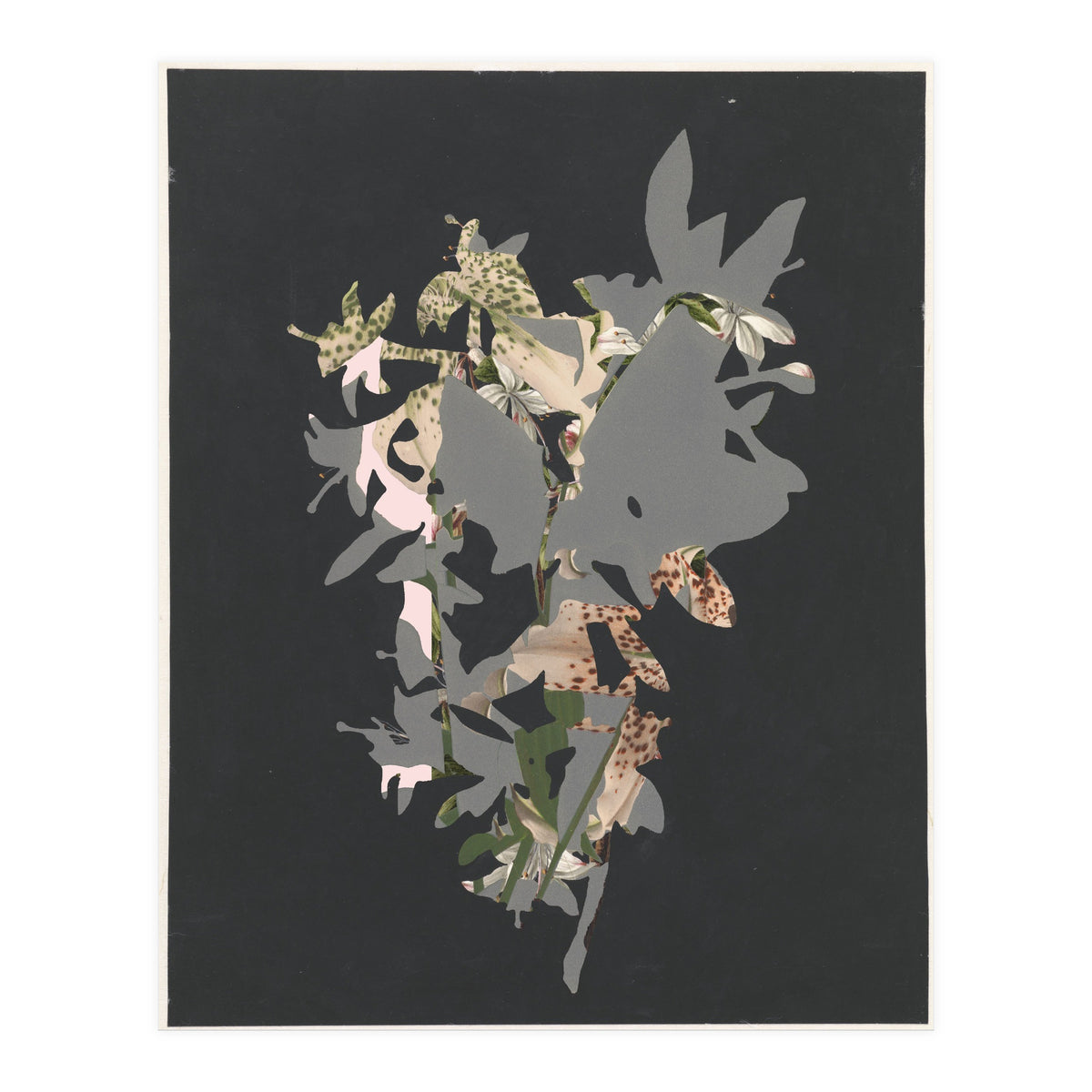 The First Plant · Black (Print Only)