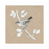 Gold crest (Print Only) thumbnail