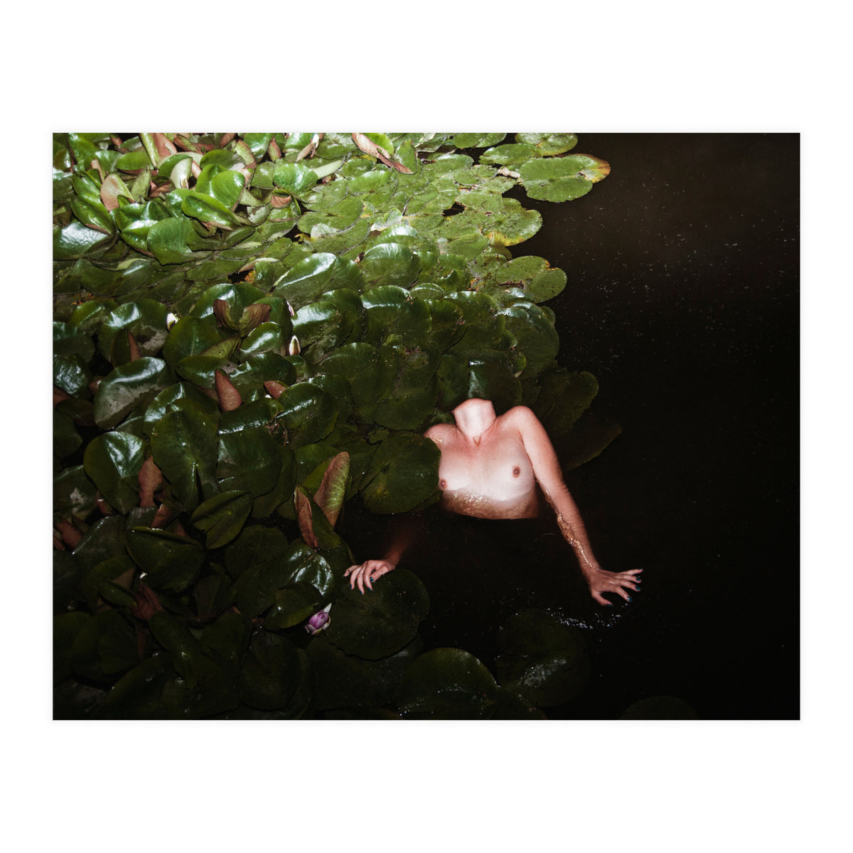 This is Not what You think it Is (Print Only)