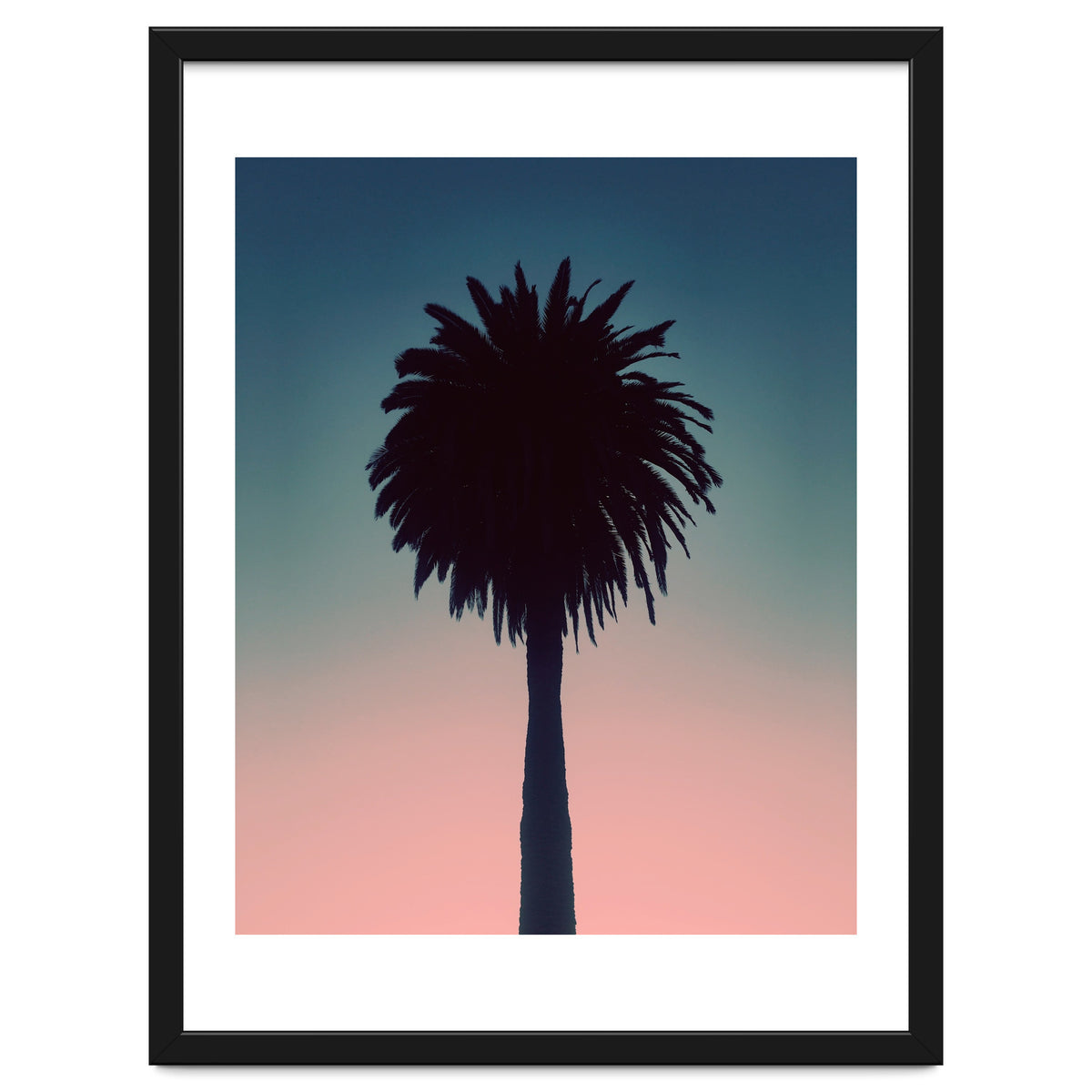 Sundown Palm