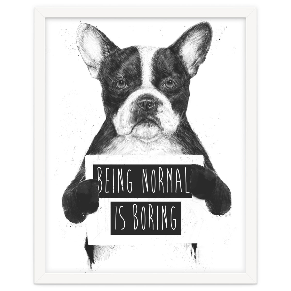 Being Normal Is Boring