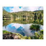 Calm (Print Only) thumbnail