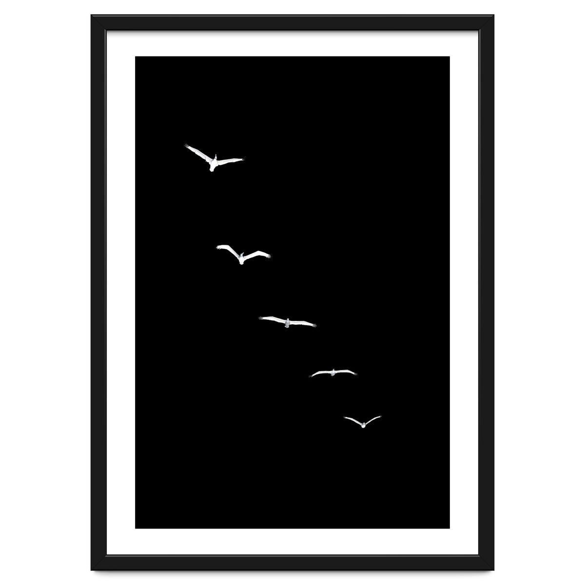 Heavenly Creatures Dark