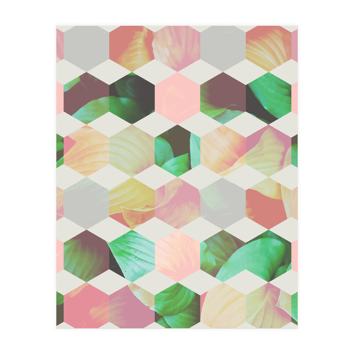 Epsilon (Print Only)