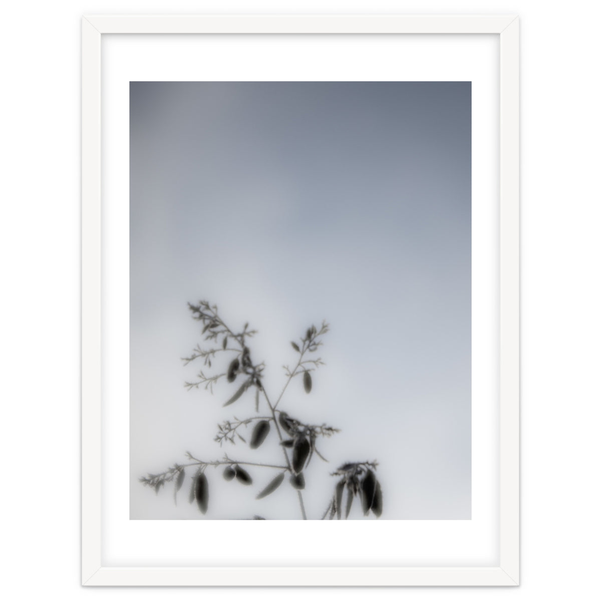 Forgotten Memories of Summer #17