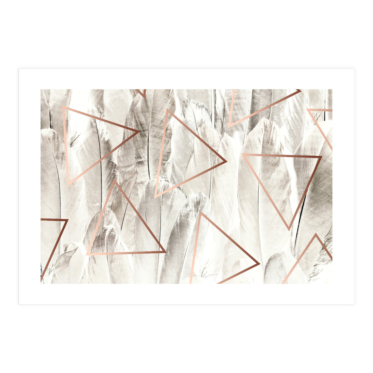 Feathers & Copper (Print Only)