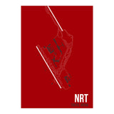 Tokyo Nrt Airport Layout (Print Only) thumbnail
