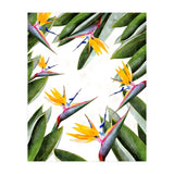Bird Of Paradise (Print Only) thumbnail