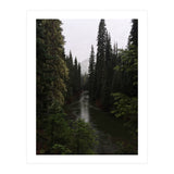 Evergreen State (Print Only) thumbnail