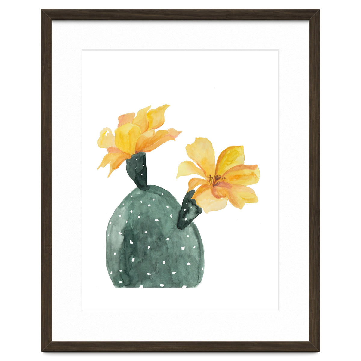 Botanical Illustration Yellow Cactus Flowers