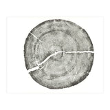 Rock Canyon, Tree Ring Print, Woodblock (Print Only) thumbnail