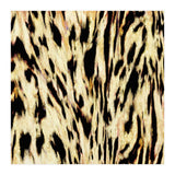 The Tiger Side (Print Only) thumbnail
