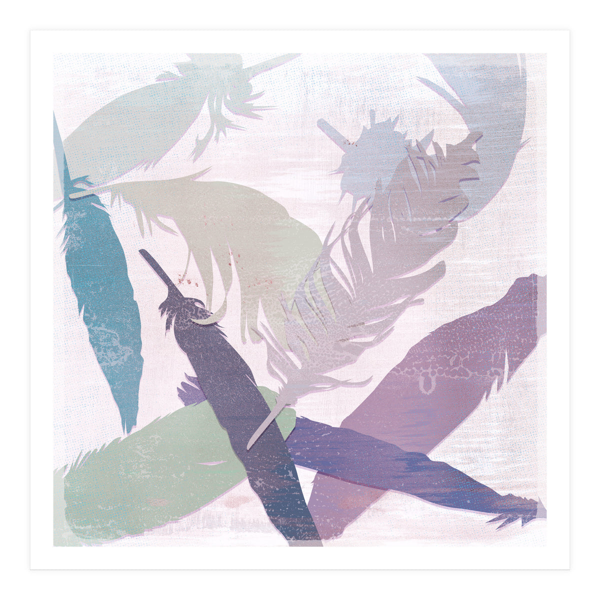 Feathers (Print Only)