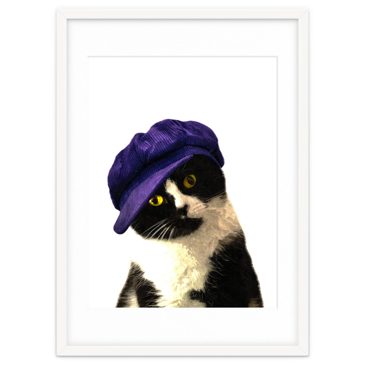 Cat Blue Hat