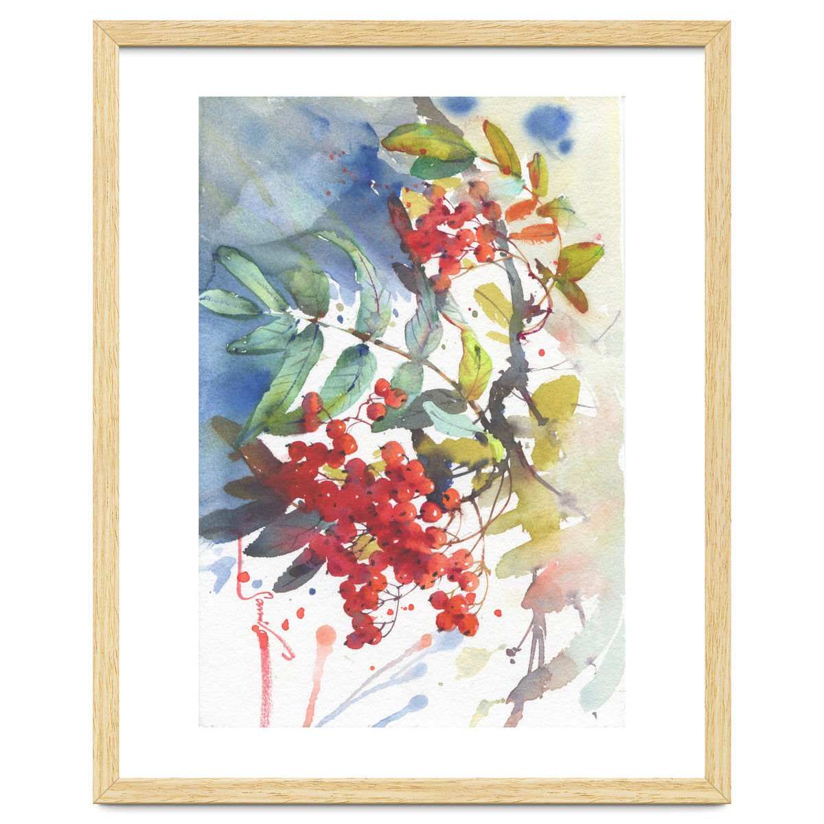 Viburnum / Guelder rose