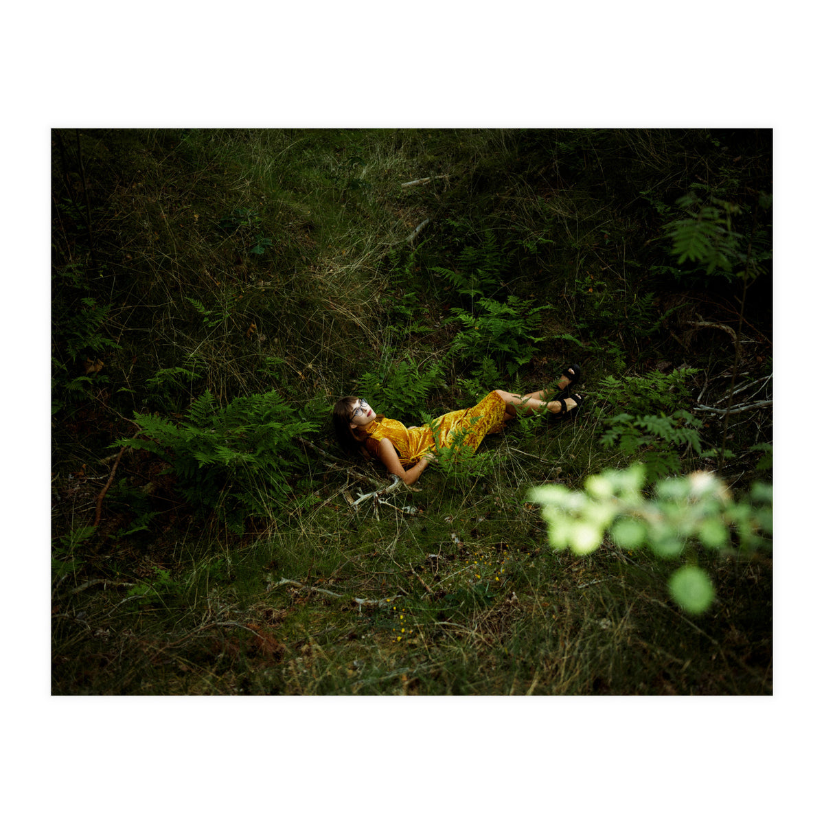 Did You Miss Me? (Print Only)