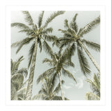 Lovely Palm Trees | Vintage (Print Only) thumbnail