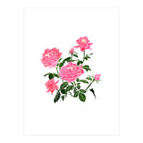 Rose V2 Art Print (Print Only) thumbnail