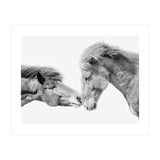 Horse Love in Iceland (Print Only) thumbnail