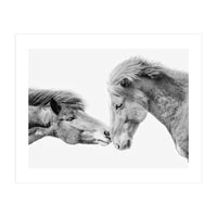 Horse Love in Iceland (Print Only)