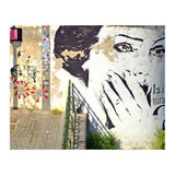Beauty of decay (Print Only) thumbnail