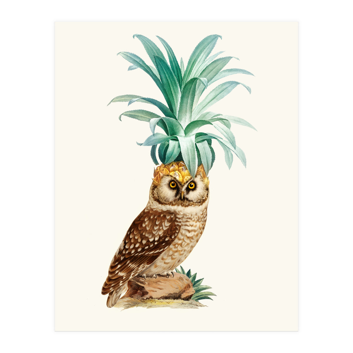 Pineapple Owl Vintage (Print Only)