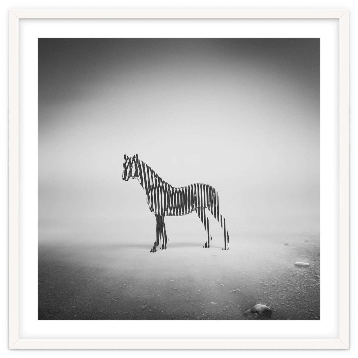 Zebra Mist