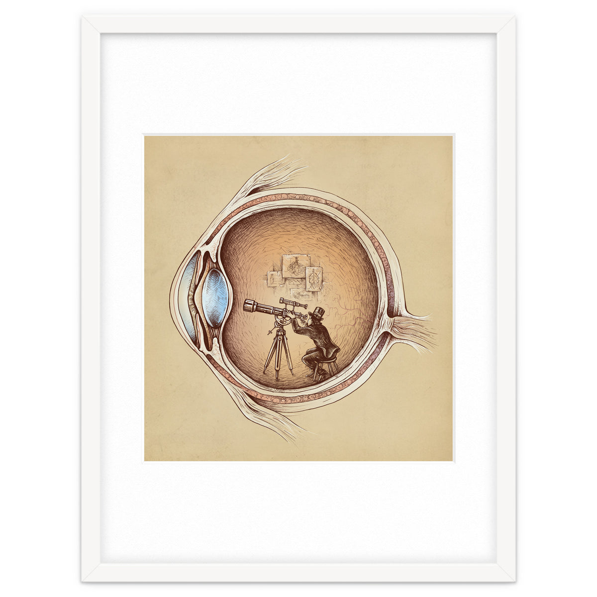 Extraordinary Observer